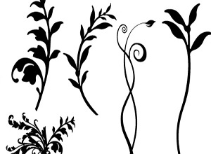Floral Vector Design 300x220 Floral Vector Design