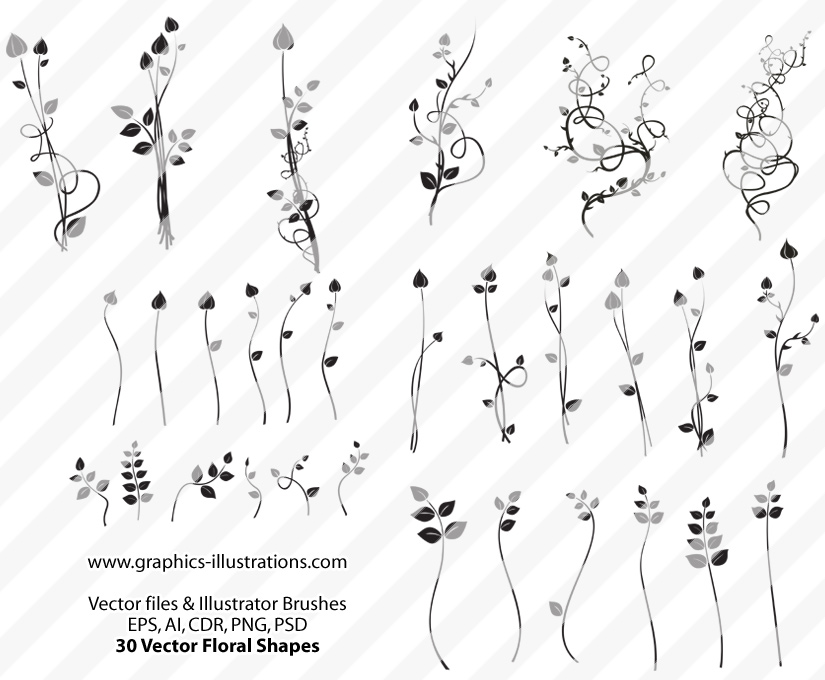 Illustrator Brushes 825x680 Illustrator Brushes