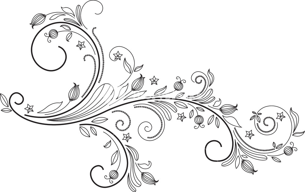 1000x631 Floral Swirl Vector Element Royalty Free Stock Image
