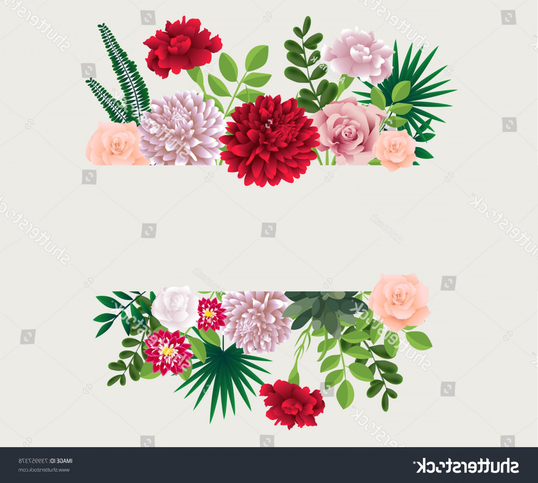 1800x1616 Floral Vector Graphic Design Colorful Flowers Sarahgardan