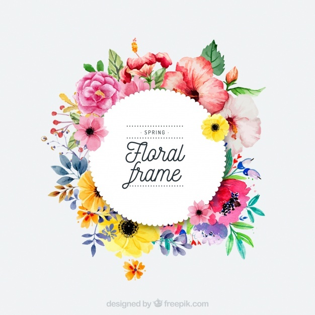 626x626 Floral Vectors, Photos And Free Download