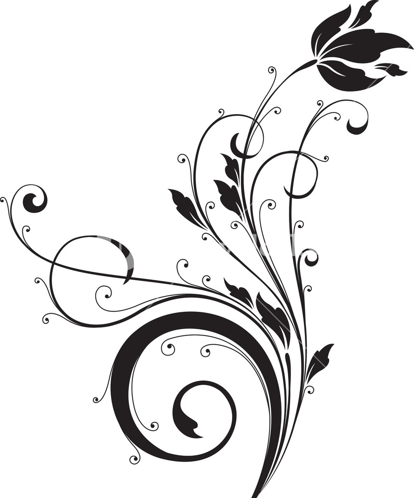 831x1000 Swirl Floral Vector Element Royalty Free Stock Image
