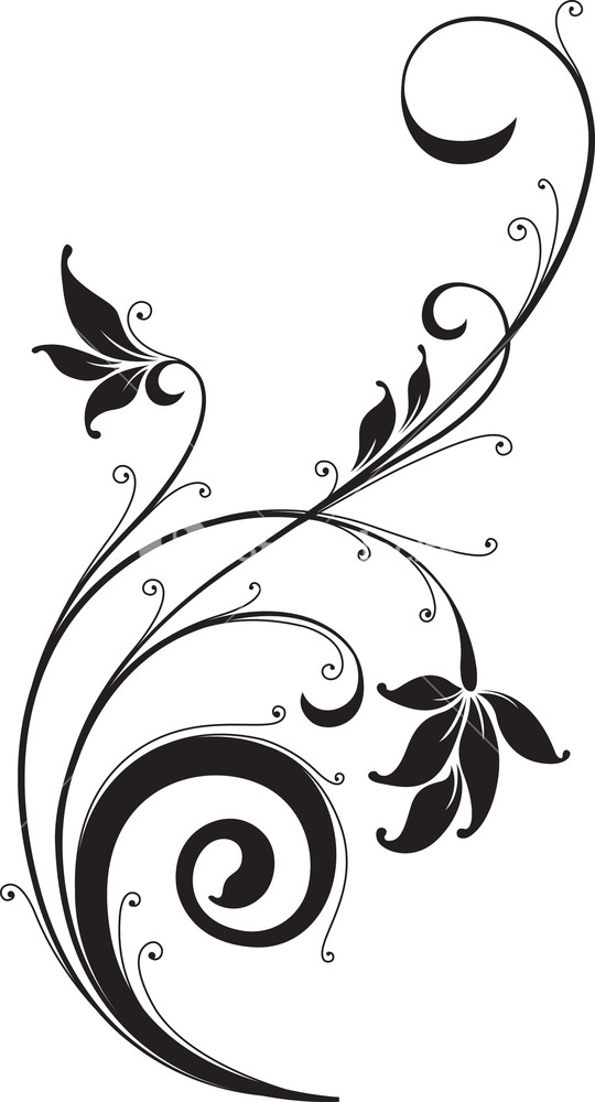 540x1000 Swirl Floral Vector Element Royalty Free Stock Image