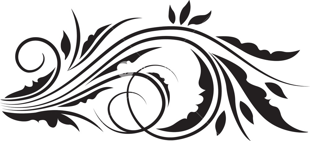 Curl Floral Vector Element Royalty Free Stock Image 1000x455 Curl Floral Vector Element Royalty Free Stock Image
