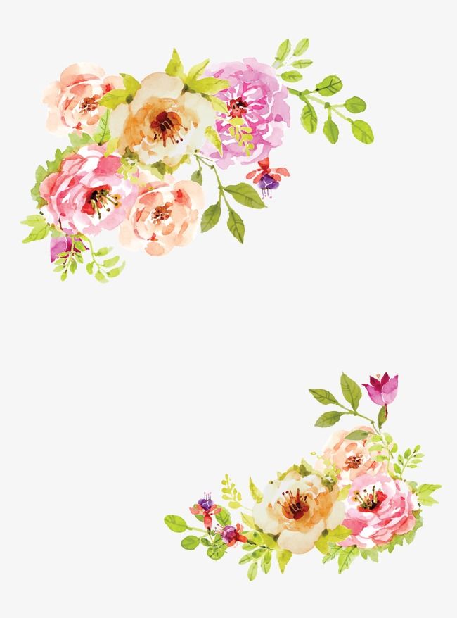 650x878 Millions Of Png Images, Backgrounds And Vectors For Free Download