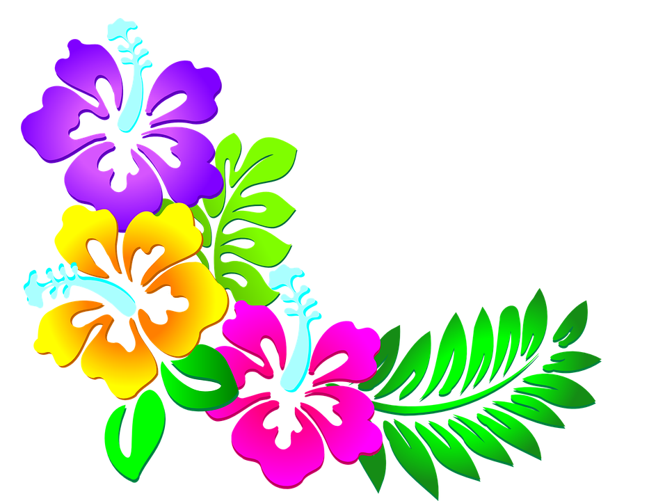Vector Flores Png Png Image 956x720 Vector Flores Png Png Image