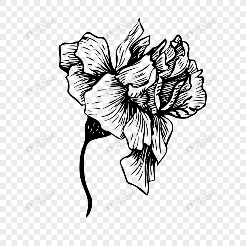 Dibujado A Mano Flores Vector Material Imagen Descargar Prf 860x860 Dibujado A Mano Flores Vector Material Imagen Descargar Prf