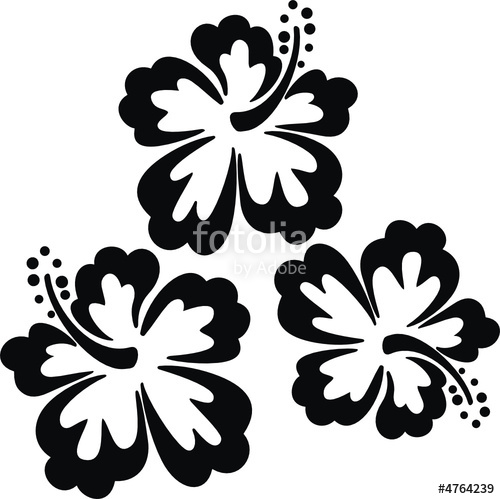 Flores Hawaii Stock Image And Royalty Free Vector 500x499 Flores Hawaii Stock Image And Royalty Free Vector