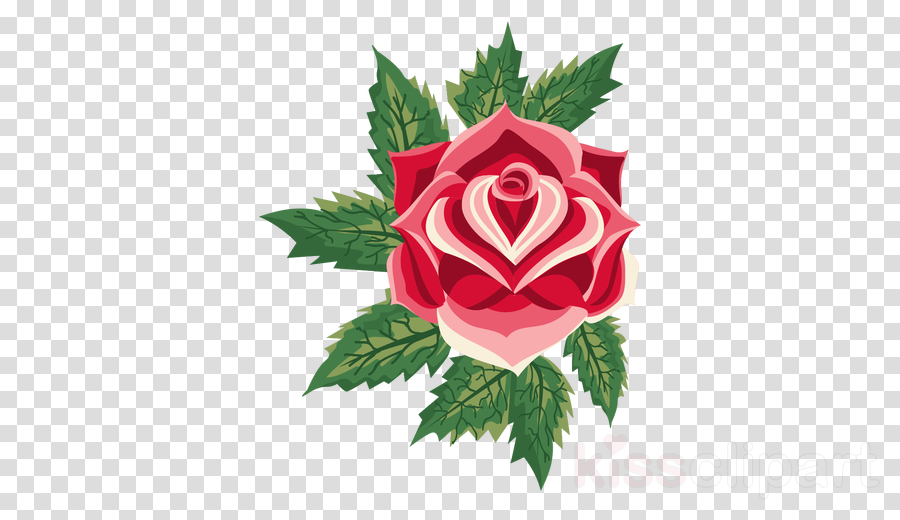 900x520 Rose Flower Png Vector