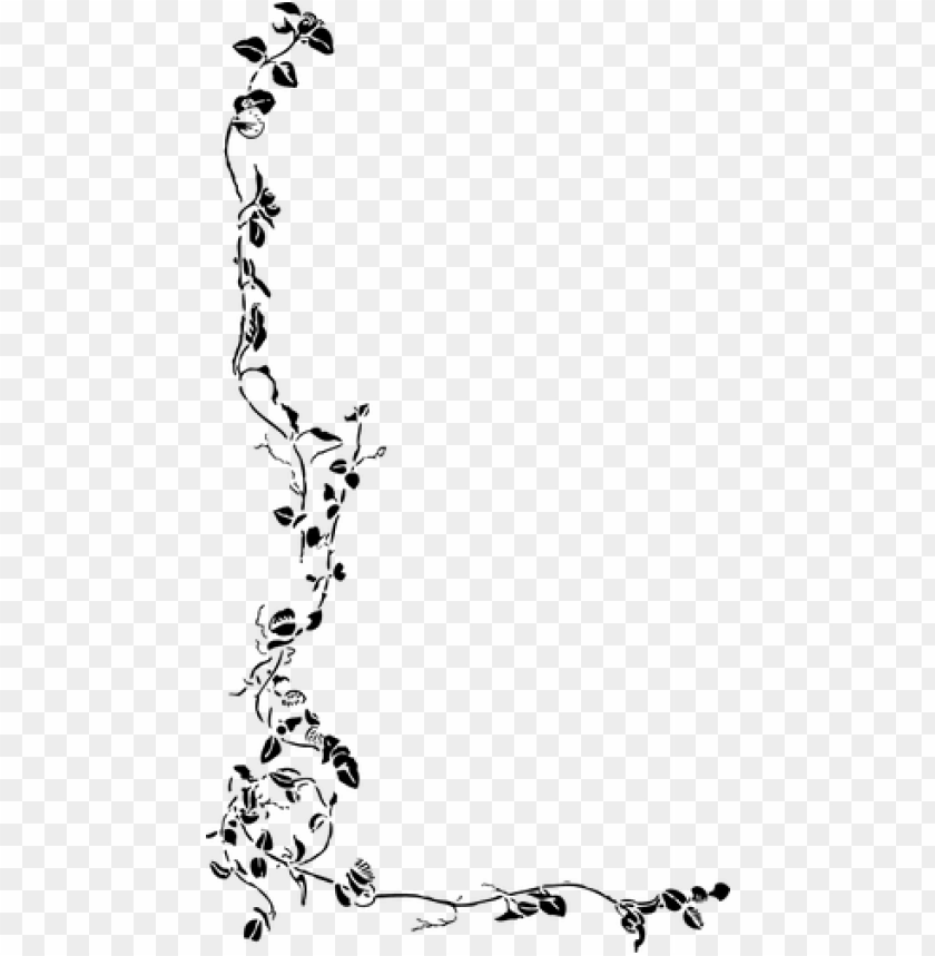 840x859 Flores Blanco Y Negro Vector Png