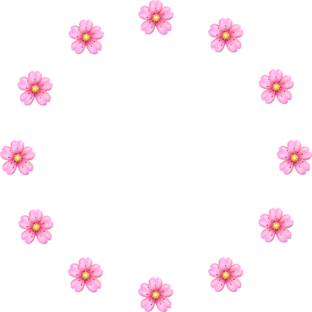 1024x1026 Vector Png Cherryblossoms Cherry Pink Flower Flowers