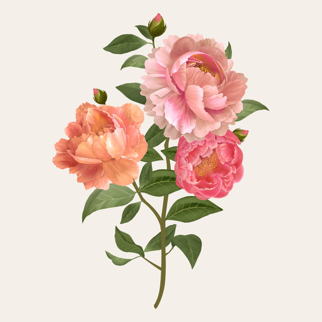 626x626 Vintage Flowers Bouquet Vector Vector Free Download