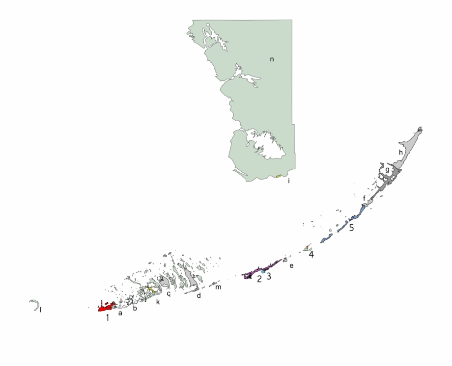 Collection Of Free Florida Vector Map 920x746 Collection Of Free Florida Vector Map