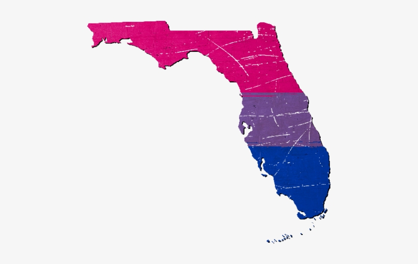 820x519 Florida Silhouette Bisexual Pride Flag
