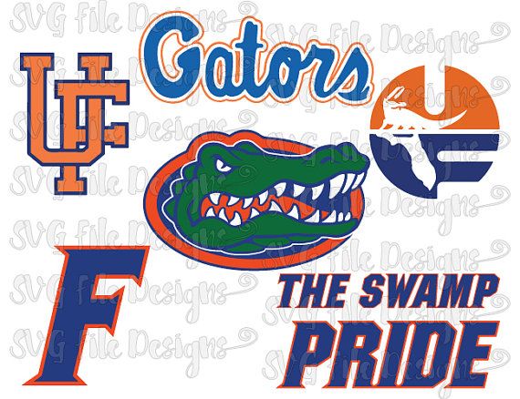 Florida Gators Florida Gators Football 570x438 Florida Gators Florida Gators Football