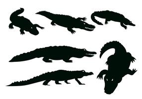 286x200 Gator Free Vector Art