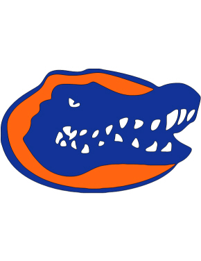 290x376 Gator Icon