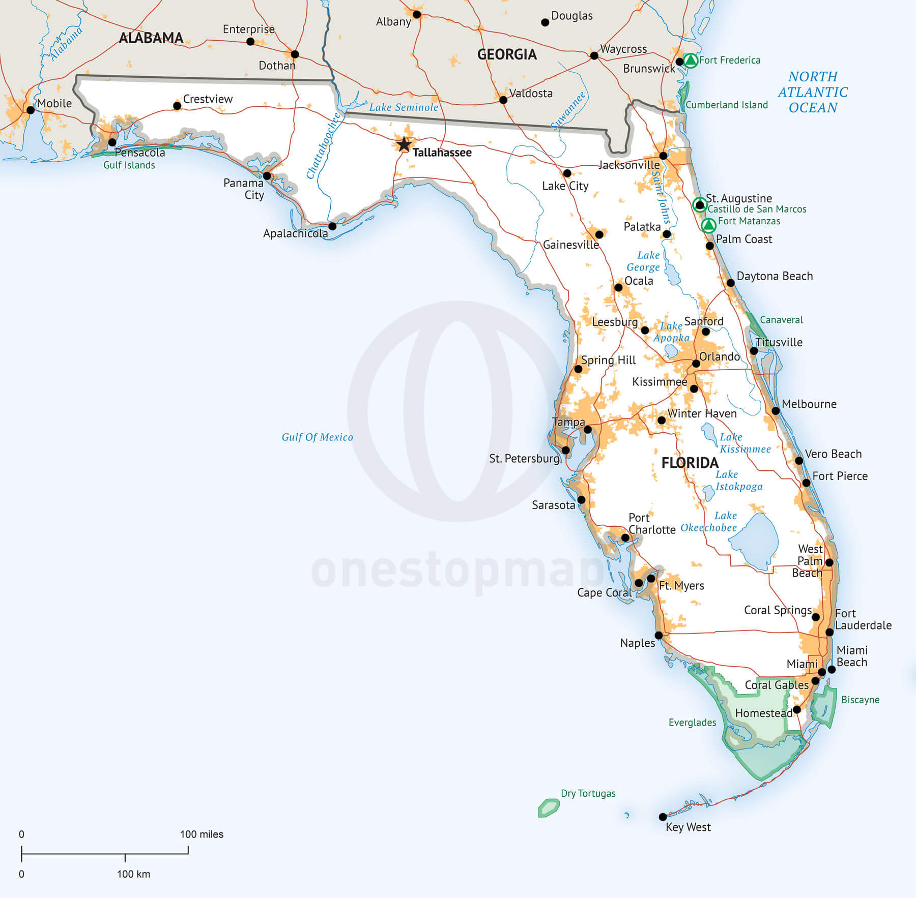 Florida Map Vector at Vectorified.com | Collection of Florida Map ...