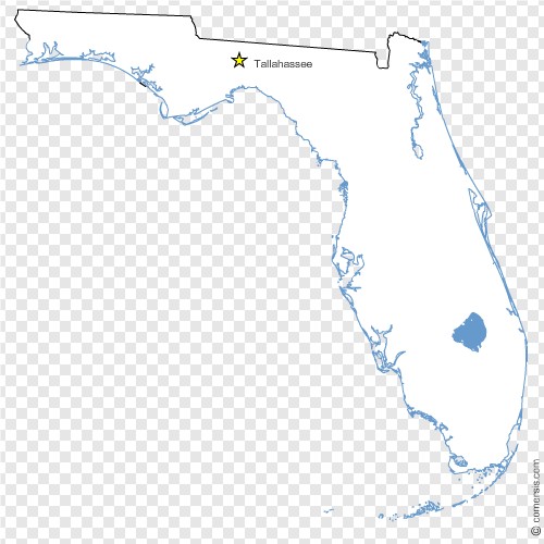 500x500 Florida