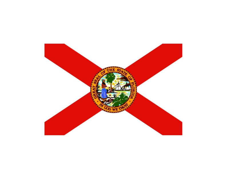 794x635 Florida State Flag Pride National Symbol Background Country Etsy