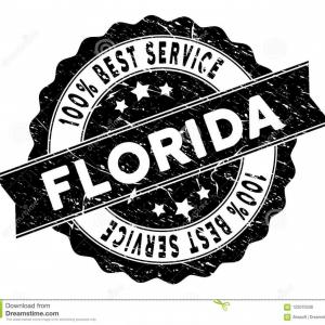 300x300 Stock Vector The State Of Texas Seal Hoodamathrun