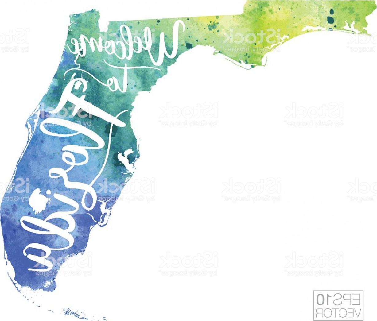 Florida Vector at Vectorified.com | Collection of Florida Vector free ...