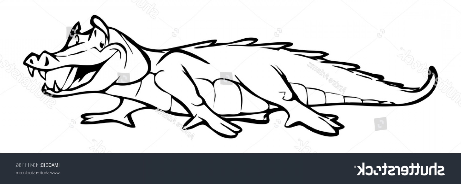 Cartoon Outline Vector Illustration Alligator Hoodamathrun 1800x720 Cartoon Outline Vector Illustration Alligator Hoodamathrun