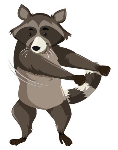385x490 A Raccoon Doing Floss Dance