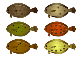 286x200 Flounder Free Vector Art