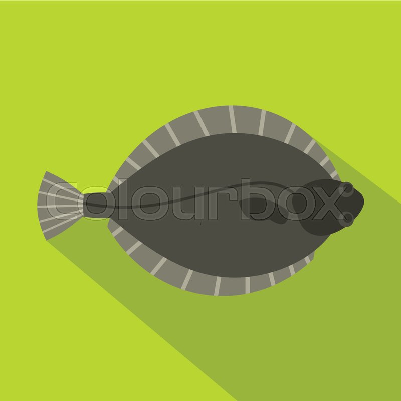 800x800 Flounder Fish Icon Flat Illustration Stock Vector Colourbox