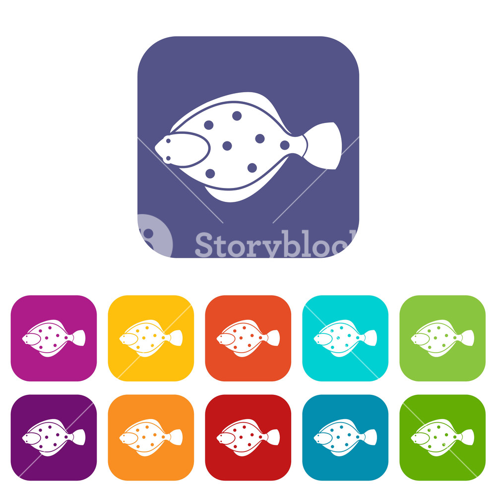 1000x1000 Flounder Fish Icons Set Vector Illustration In Flat Style