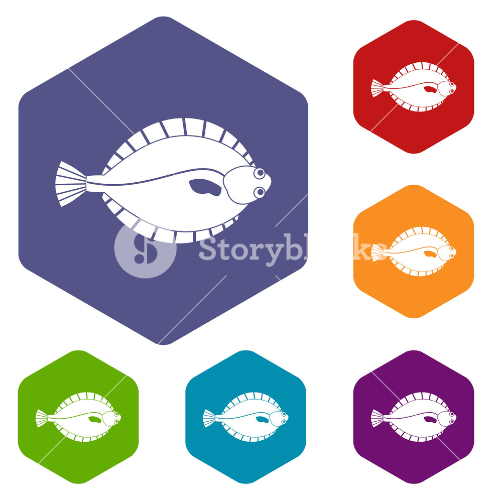 1000x1000 Flounder Icons Set Hexagon Isolated Vector Illustration Royalty