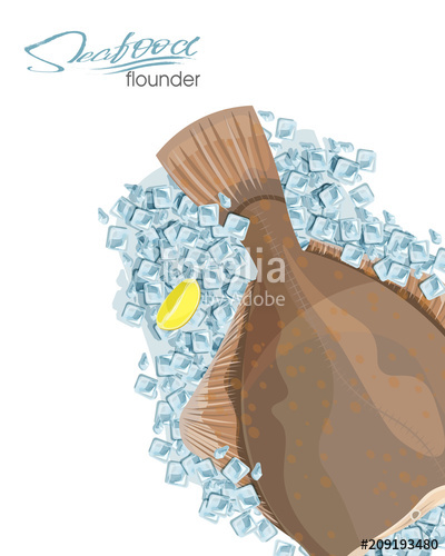 400x500 Olive Flounder Vector Illustration Sea Fish On Ice Cubes