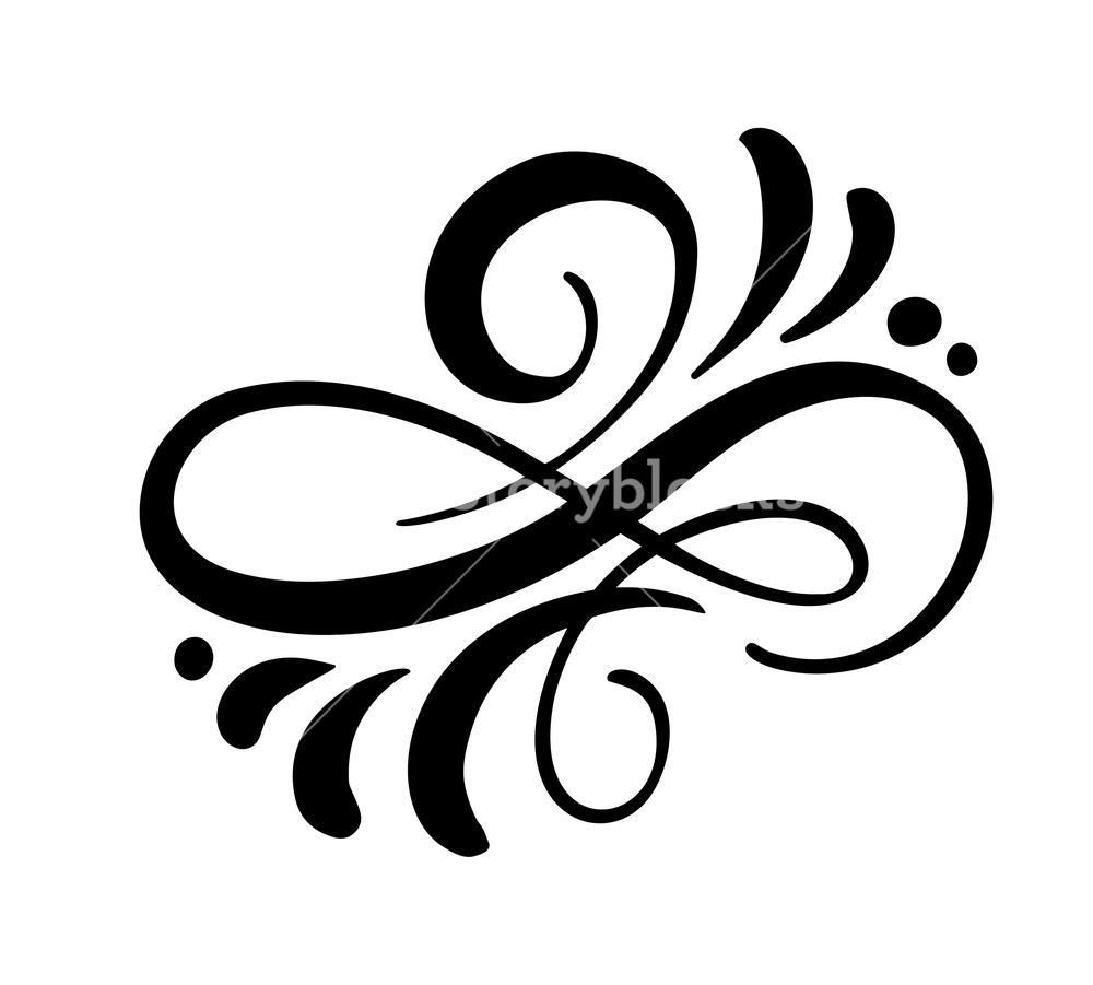 1000x901 Vector Floral Calligraphy Element Flourish, Divider