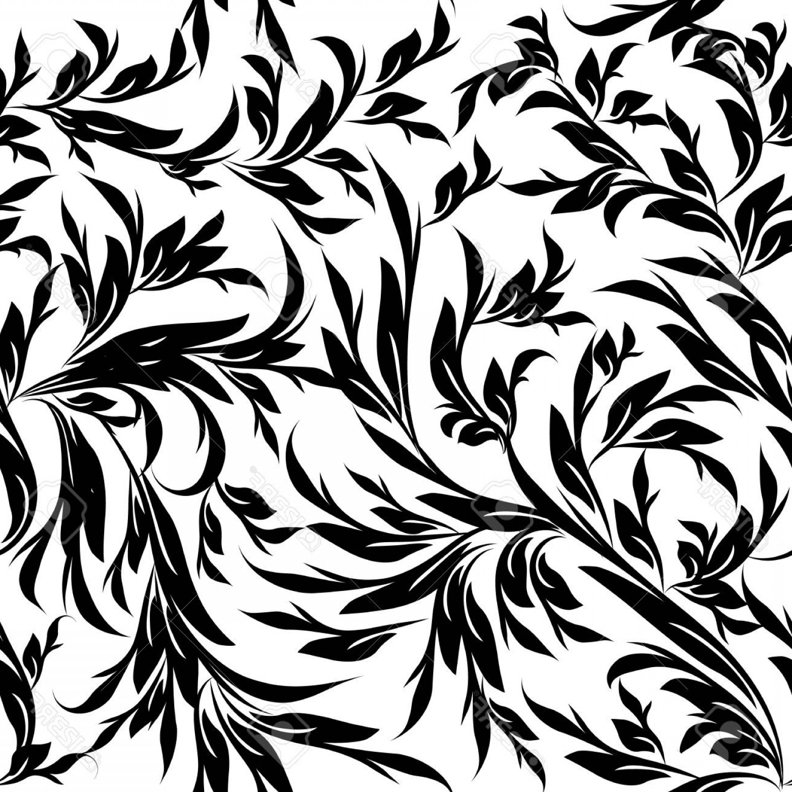 1560x1560 Photostock Vector Vintage Black White Floral Vector Seamless