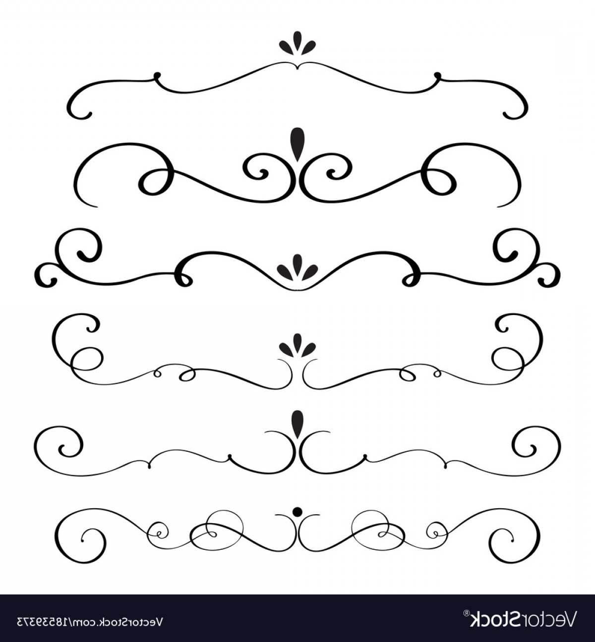 1200x1296 Decorative Flourish Vector Sarahgardan