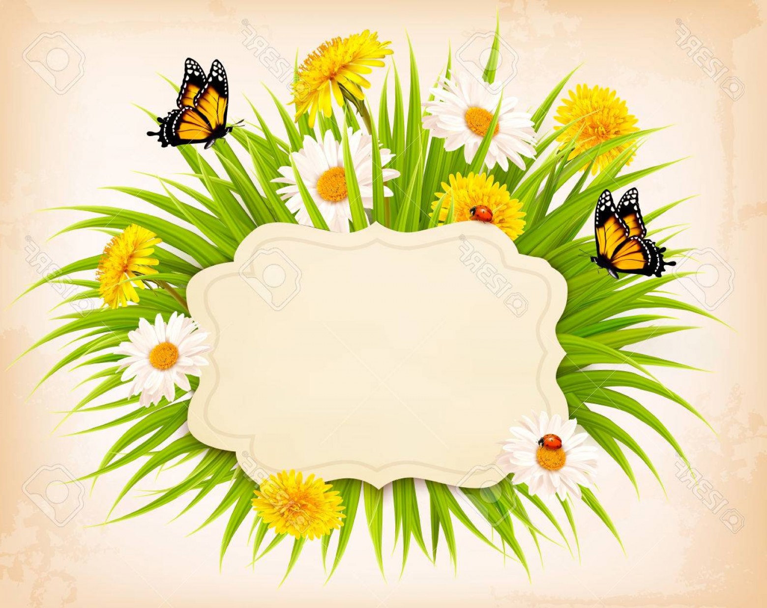 Photostock Vector Spring Banner With Grass Flowers And Butterflies 1560x1238 Photostock Vector Spring Banner With Grass Flowers And Butterflies