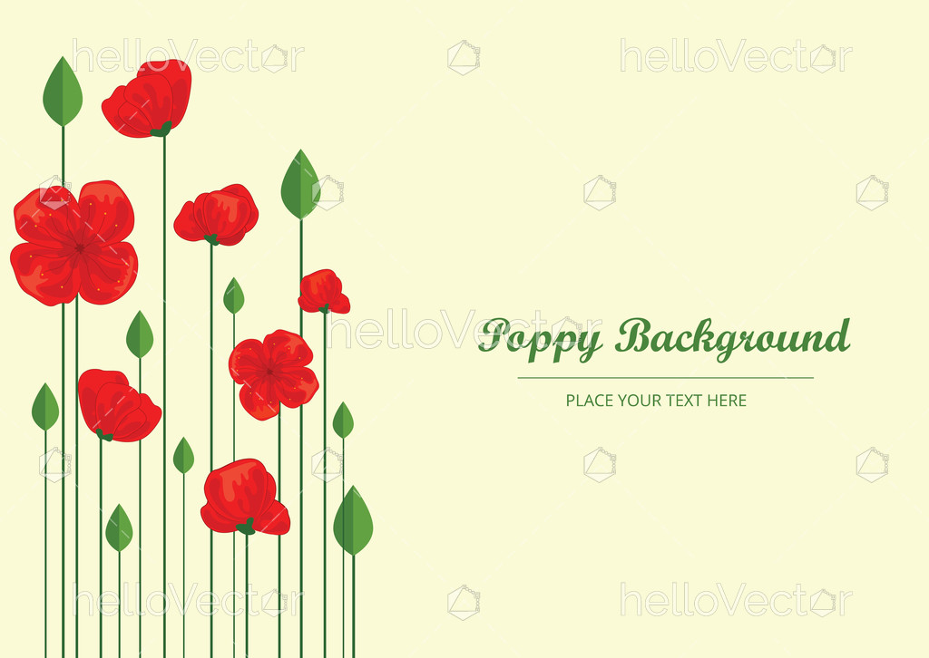 Red Poppy Flowers, Banner Background With Poppies 1024x726 Red Poppy Flowers, Banner Background With Poppies