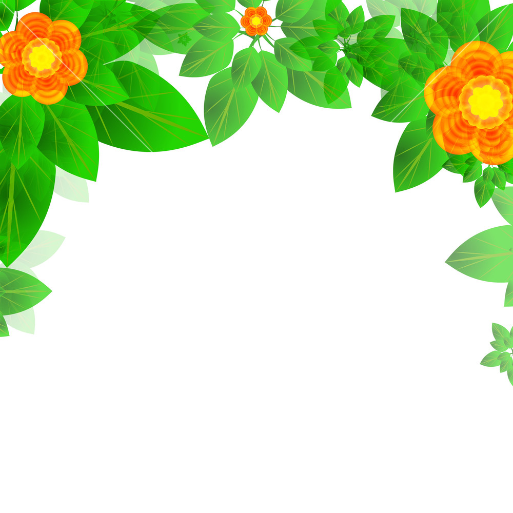 Summer Or Spring Leaves With Flowers Banner Vector Concept Royalty 1000x1000 Summer Or Spring Leaves With Flowers Banner Vector Concept Royalty