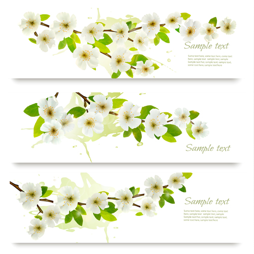 White Flower Spring Banners Vectors Free Download 500x500 White Flower Spring Banners Vectors Free Download