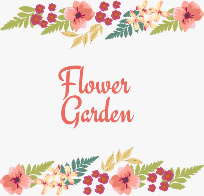 650x625 Beautiful Flowers Border Vector, Border