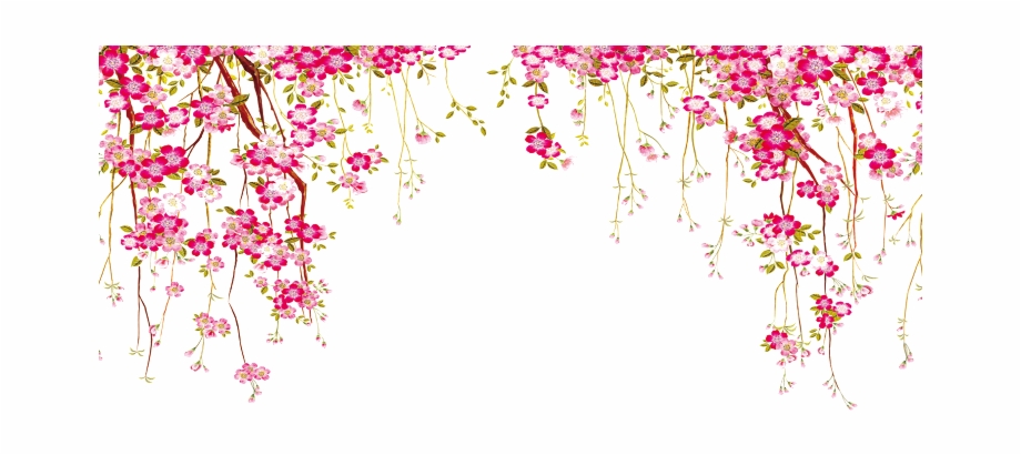 920x410 Flowers