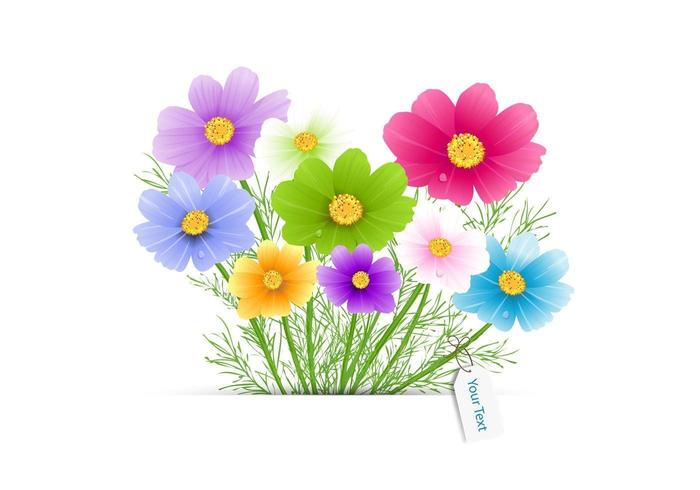 Flower Bouquet Vector 700x490 Flower Bouquet Vector