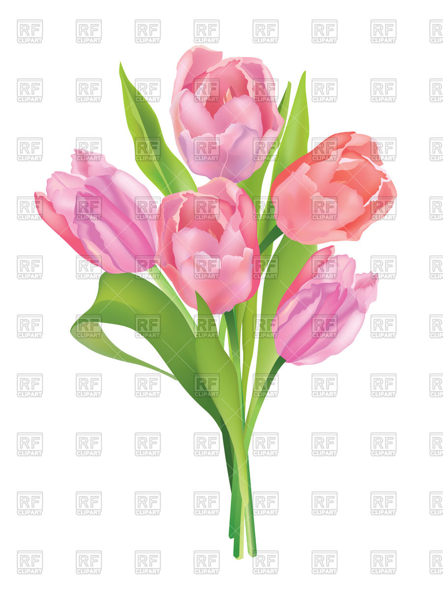 Flower Tulips Bouquet Vector Image Of Objects Terriana 902x1200 Flower Tulips Bouquet Vector Image Of Objects Terriana