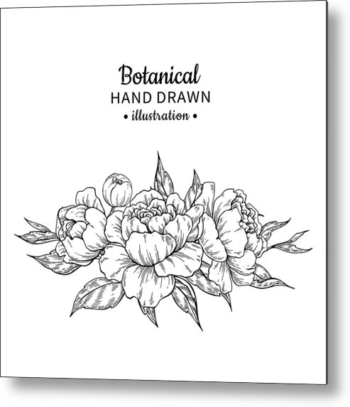 Vintage Flower Bouquet Vector Drawing Peony, Rose Metal Print 493x573 Vintage Flower Bouquet Vector Drawing Peony, Rose Metal Print