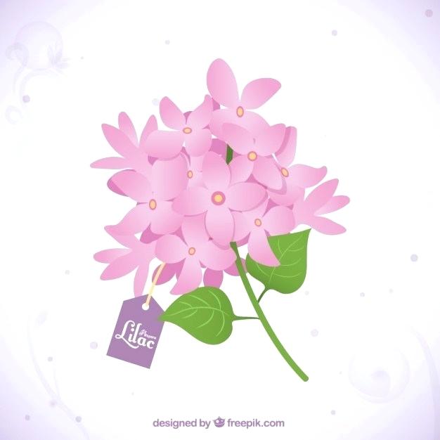 Bouquet If Flowers Vector 626x626 Bouquet If Flowers Vector