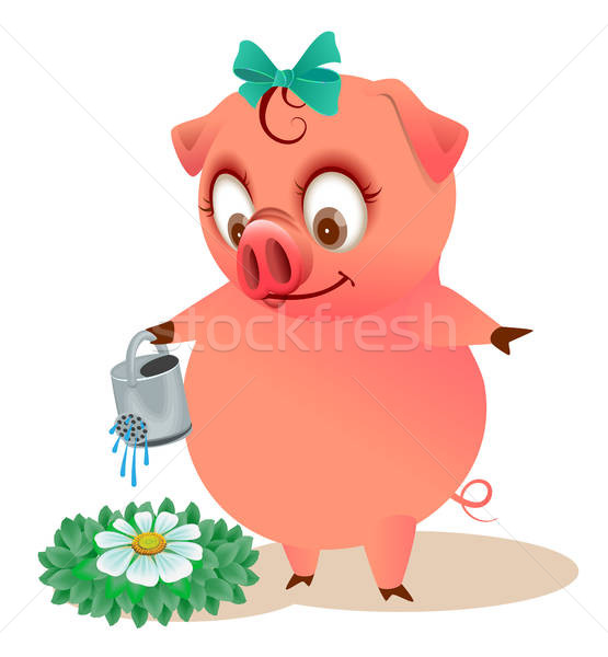 555x600 Cute Piggy Watering Flower Cartoon Animal Gardener Vector