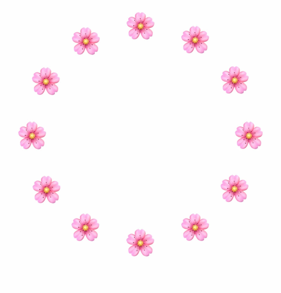 Vector 920x961 Vector