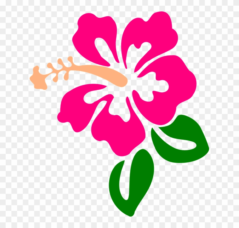 840x800 Hawaiian Flower Vector Png
