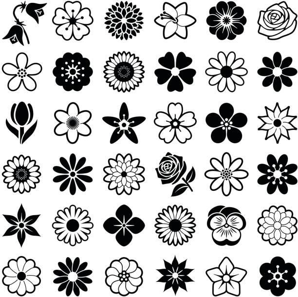 612x610 Top Flower Clip Art, Vector Graphics